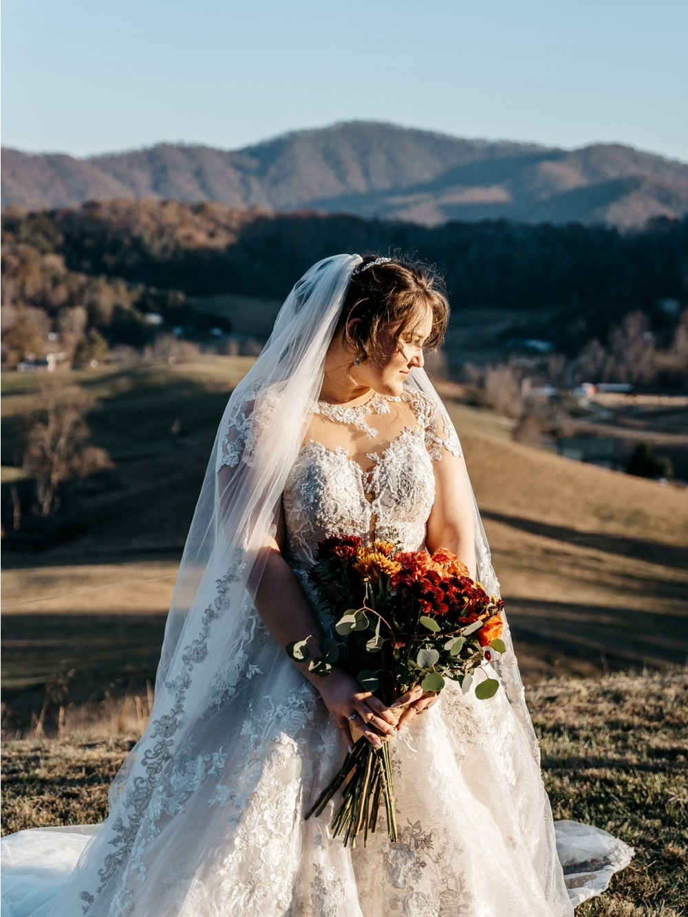 David's Bridal Ivory Lace Ball Gown Bridal Dress with Veil